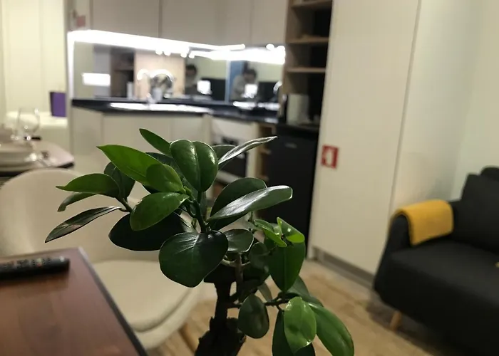 公寓 Marques D'aveiro *